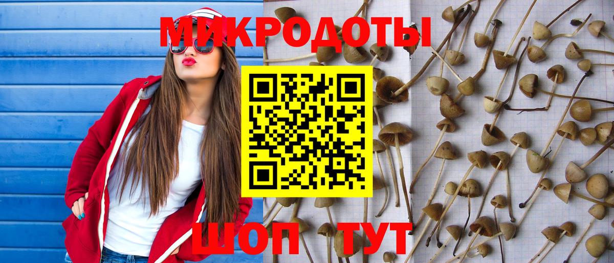 Галлюциногенные грибы Psilocybine cubensis Владимир