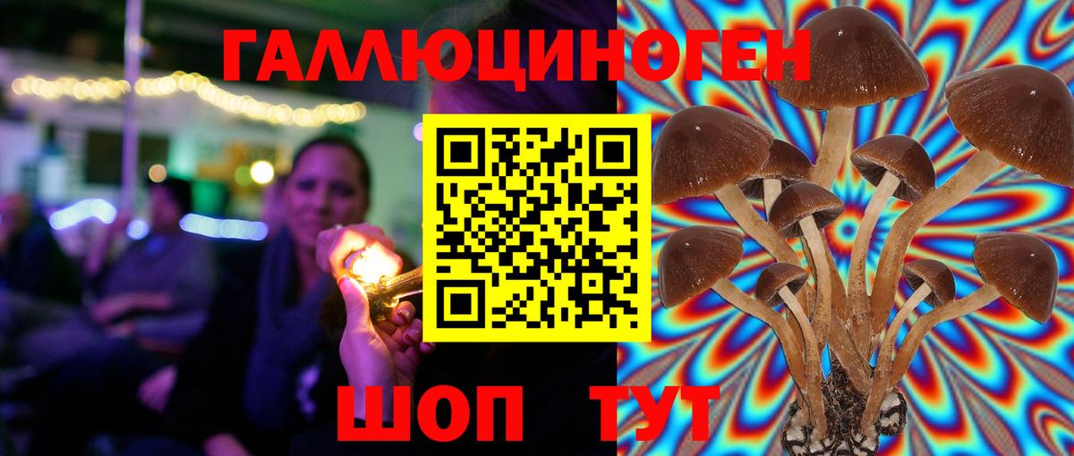Псилоцибиновые грибы прущие грибы  Вход с VPN  Владимир 